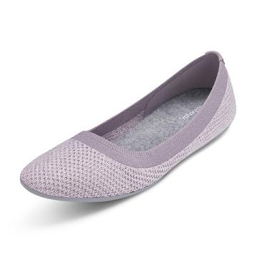 Dámské Baleríny Allbirds Tree Breezers Fialové | CZ4666WY