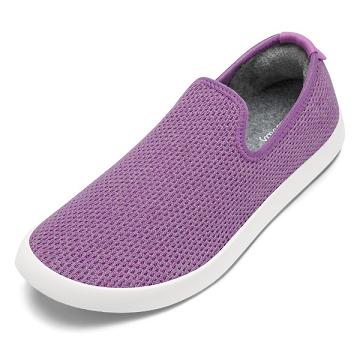 Dámské Boty Slip On Allbirds Tree Loungers Lux Fialové | CZ4511QZ