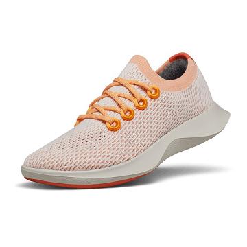 Dámské Běžecké Boty Allbirds Tree Dasher 1 Růžové Šedé | CZ4583YU
