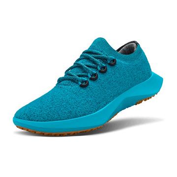 Dámské Běžecké Boty Allbirds Vlna Dasher Mizzles Blankyt | CZ4558YU
