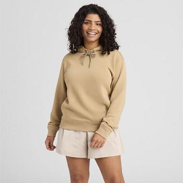 Dámské Mikiny S Kapucí Allbirds R&R Hnědé | CZ4779AP