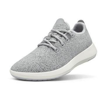 Dámské Nepromokavé Boty Allbirds Vlna Mizzles Stříbrné | CZ4715TV