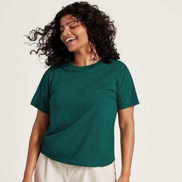 Dámské Tričko Allbirds Allgood Bavlněné Tyrkysové | CZ4748VD
