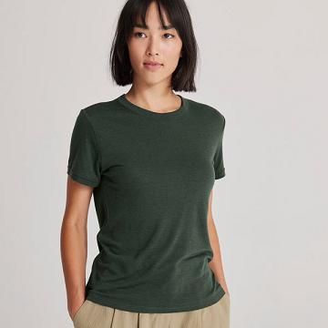 Dámské Tričko Allbirds Sea Zelene | CZ4738UT