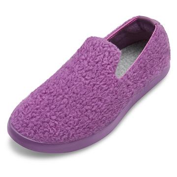 Pánské Boty Slip On Allbirds Vlna Lounger Fluffs Fialové | CZ4967TV