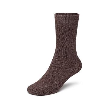 Pánské Ponožky Allbirds Trino® Cozy Crew Červené | CZ4343DN