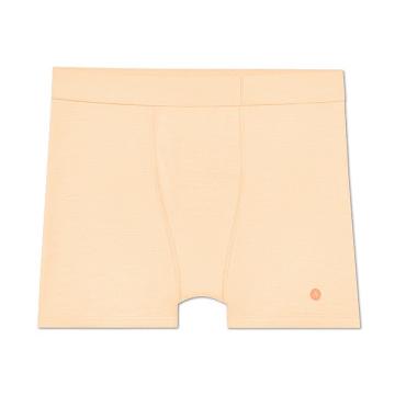 Pánské Spodní Prádlo Allbirds Trino® Boxerské Brief Hnědé | CZ4272TV