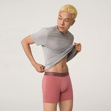 Pánské Spodní Prádlo Allbirds Trino® Boxerské Brief Červené | CZ4273RW