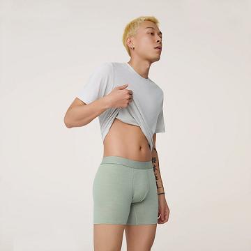 Pánské Spodní Prádlo Allbirds Trino® Boxerské Brief Zelene | CZ4274EX