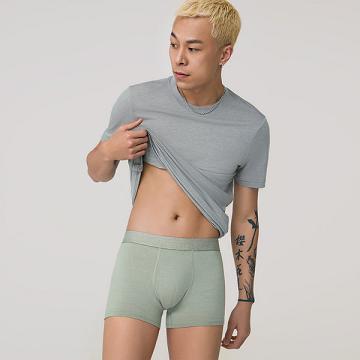 Pánské Spodní Prádlo Allbirds Trino® Trunk Zelene | CZ4280VD