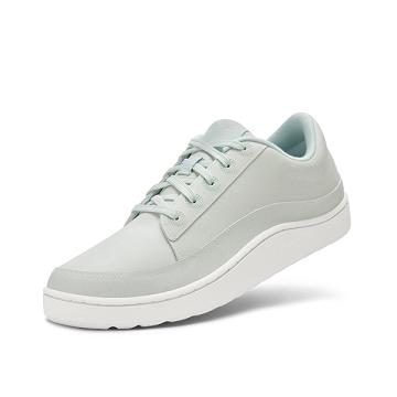 Pánské Tenisky Allbirds Plant Pacers Šedé | CZ4879AP
