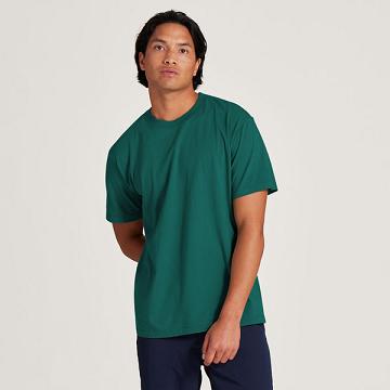 Pánské Tričko Allbirds Allgood Bavlněné Tyrkysové | CZ4298YU