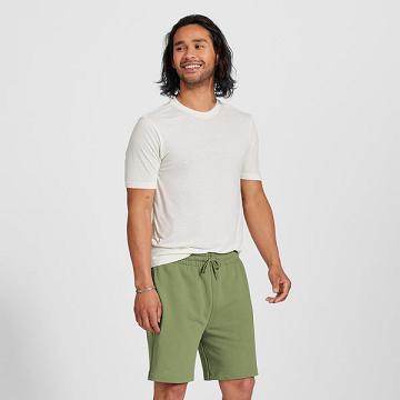 Pánské Šortky Allbirds R&R Sweat Zelene | CZ4302WY